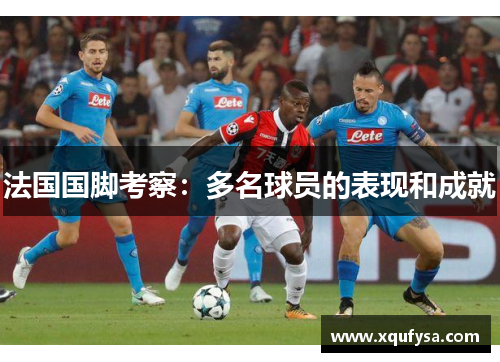 法国国脚考察：多名球员的表现和成就